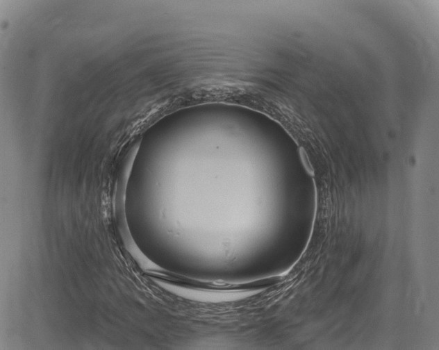 X0000085061109200703121518