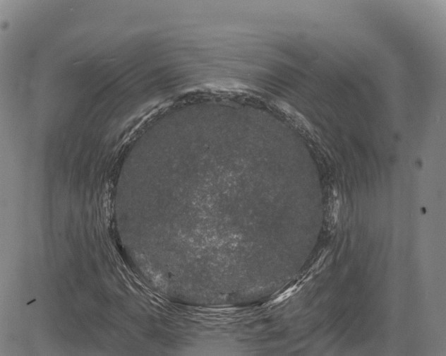 X0000085061110200703121518