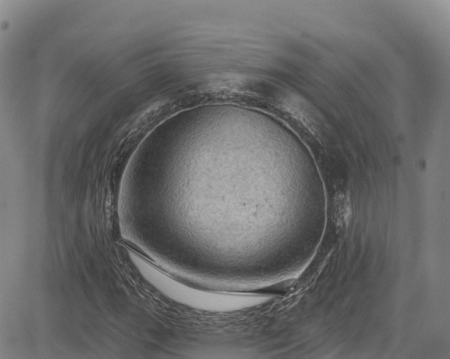 X0000085061111200703121518