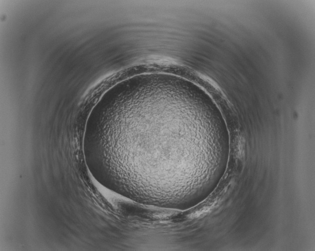 X0000085061112200703121518