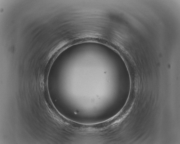 X0000085061113200703121518