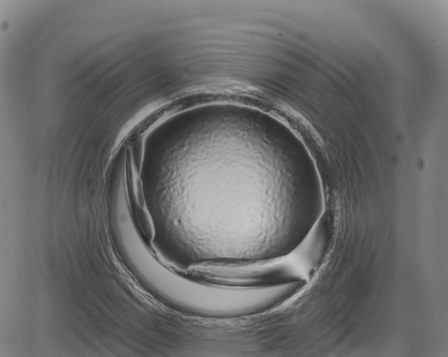 X0000085061114200703121518