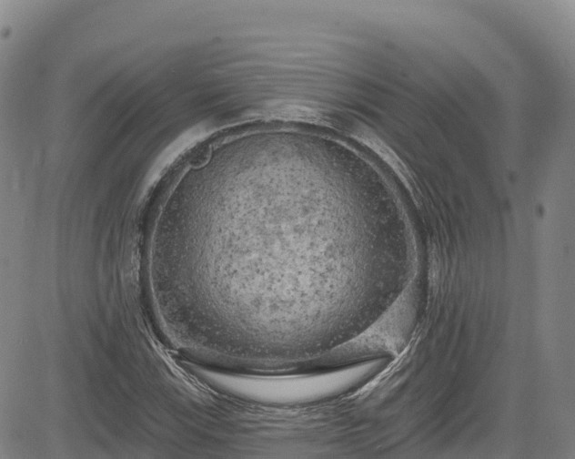 X0000085061115200703121518