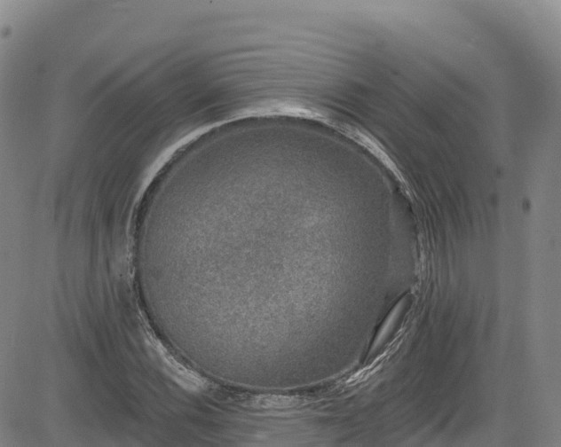 X0000085061116200703121518