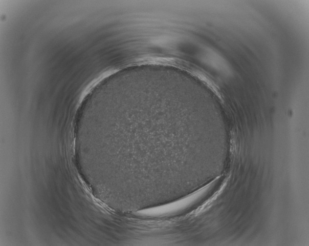 X0000085061117200703121518