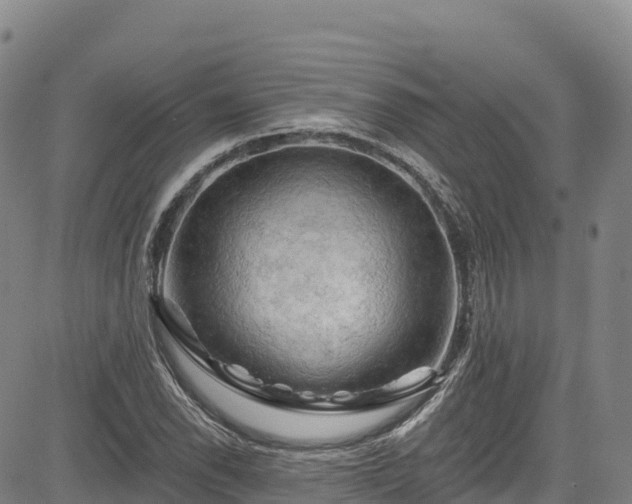 X0000085061118200703121518