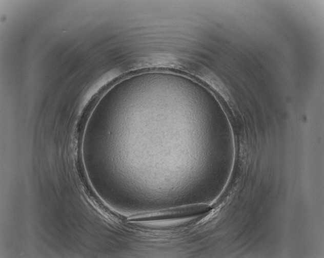 X0000085061119200703121518