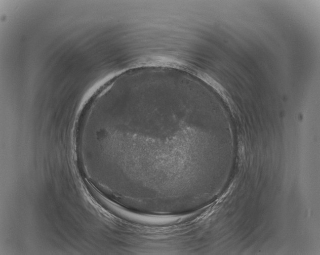 X0000085061120200703121518