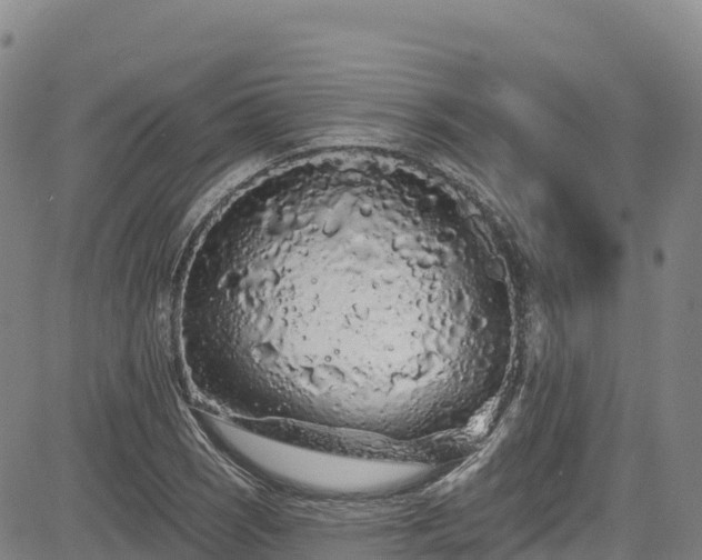 X0000085061121200703121518