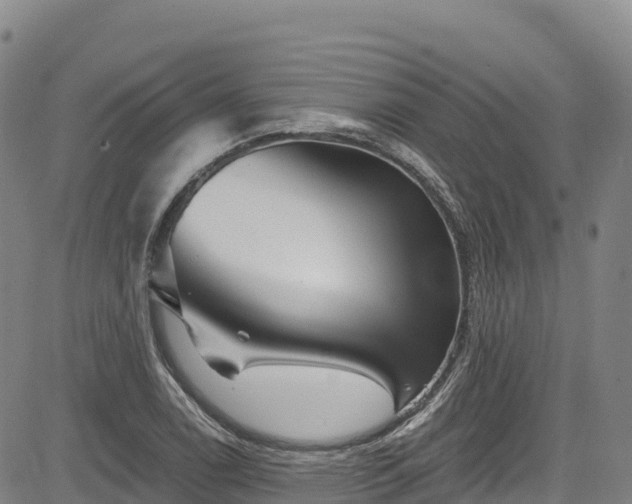 X0000085061122200703121518