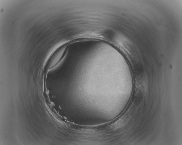 X0000085061123200703121518