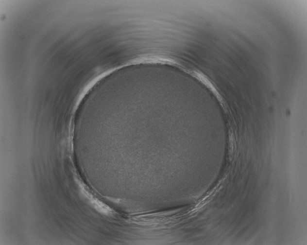 X0000085061124200703121518