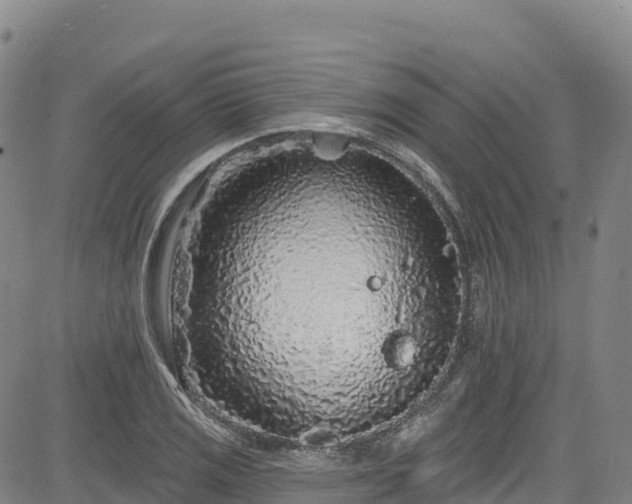 X0000085061125200703121518