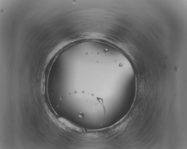 X0000085061126200703121518