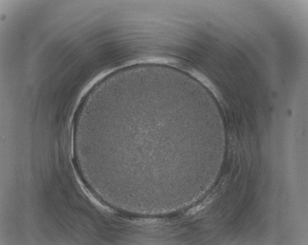 X0000085061127200703121518