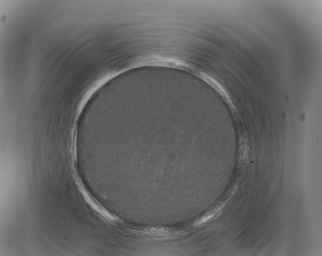 X0000085061128200703121518