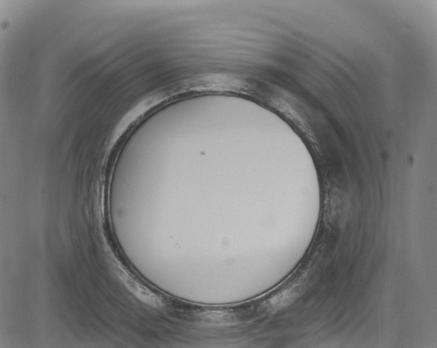 X0000085061130200703121518