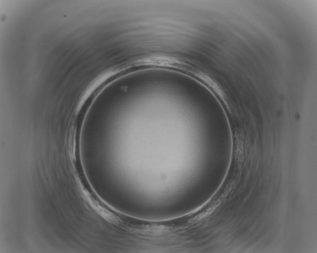 X0000085061131200703121518