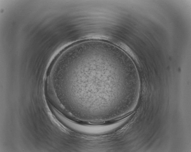 X0000085061132200703121518