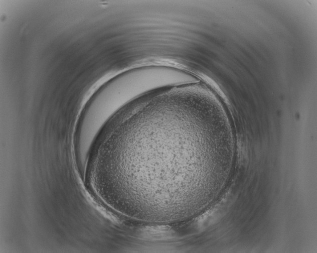 X0000085061133200703121518