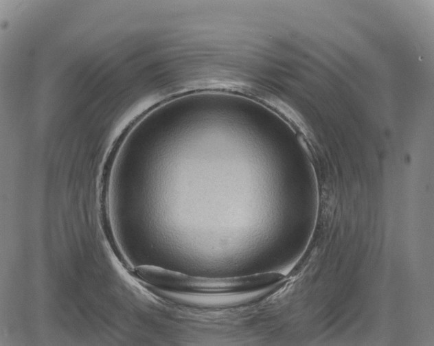 X0000085061135200703121518