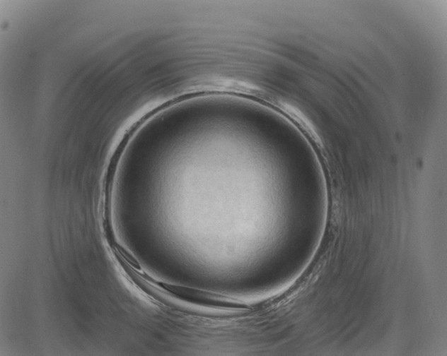 X0000085061136200703121518