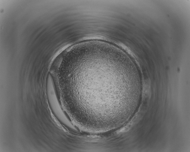 X0000085061137200703121518