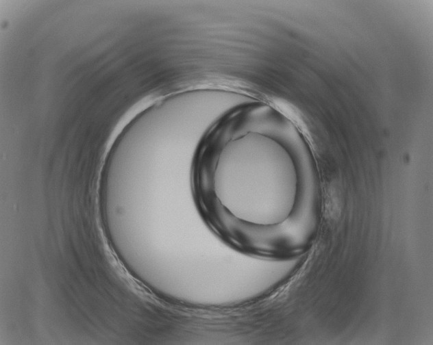 X0000085061138200703121518