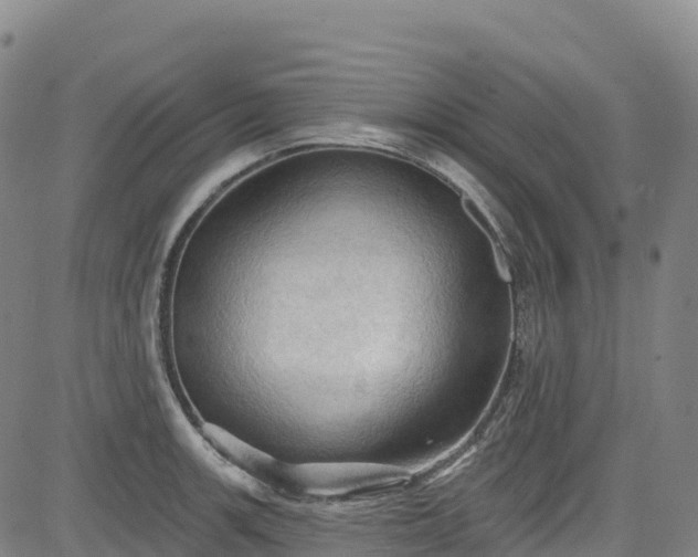 X0000085061139200703121518