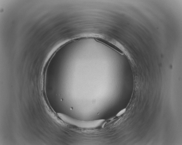 X0000085061140200703121518