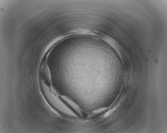 X0000085061141200703121518