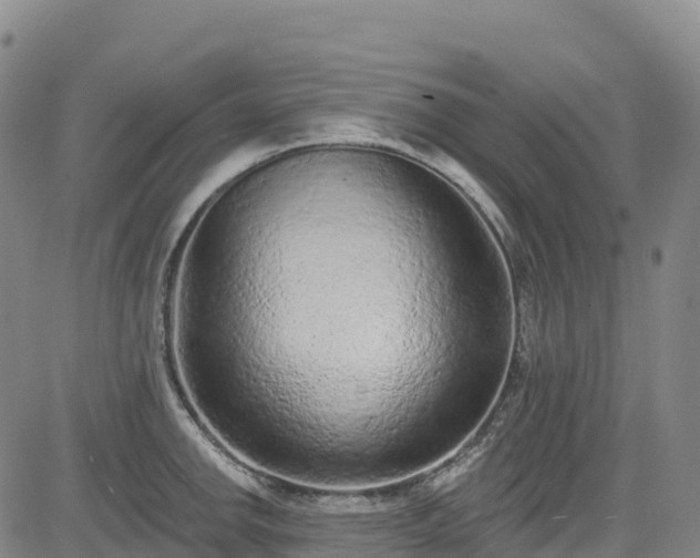 X0000085061142200703121518