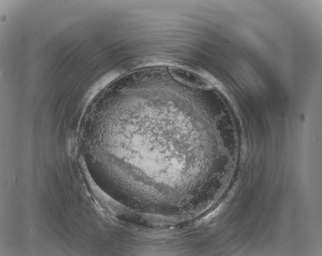 X0000085061145200703121518