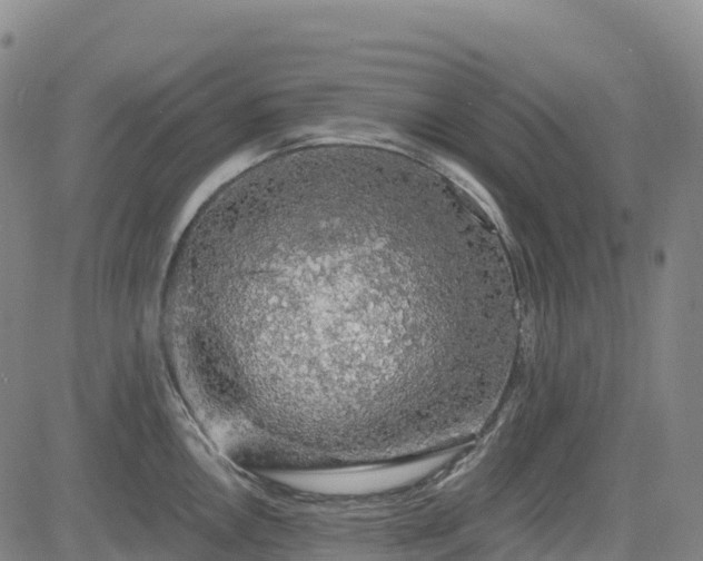 X0000085061146200703121518