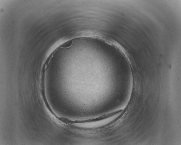 X0000085061147200703121518