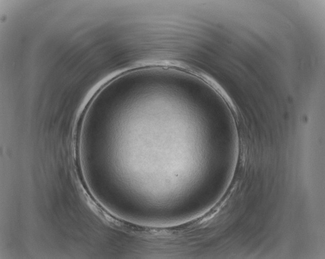 X0000085061148200703121518