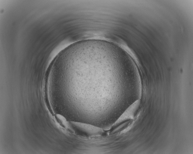 X0000085061149200703121518