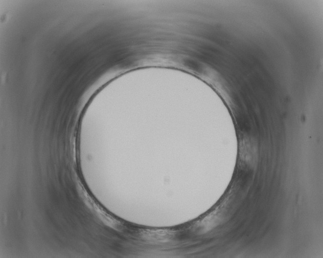 X0000085061150200703121518