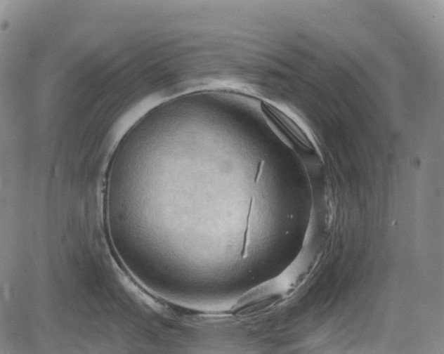 X0000085061151200703121518