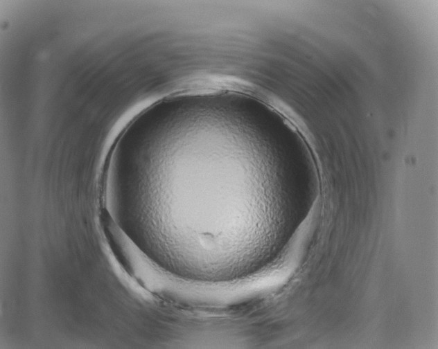 X0000085061152200703121518