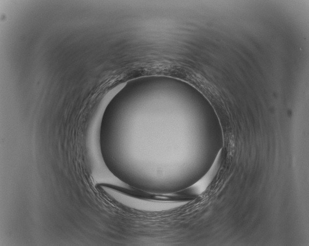 X0000085061153200703121518