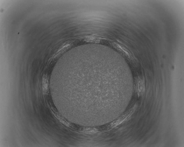 X0000085061154200703121517