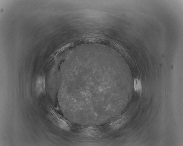 X0000085061155200703121517