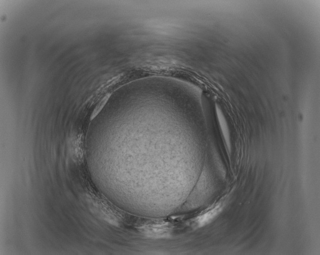 X0000085061156200703121517