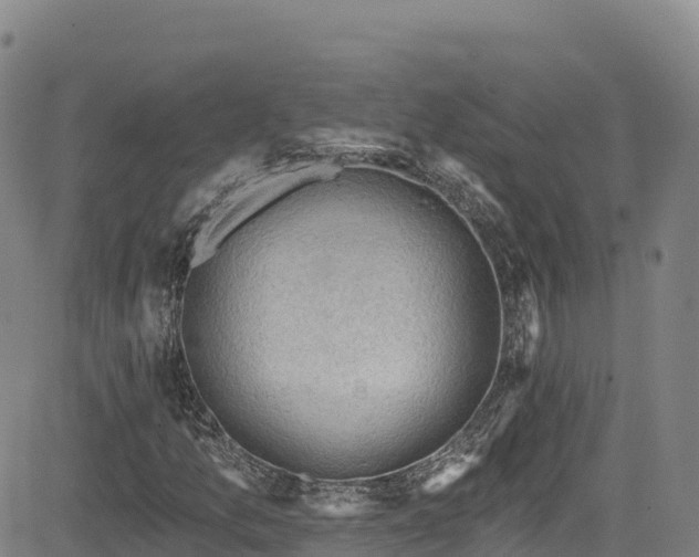 X0000085061157200703121517