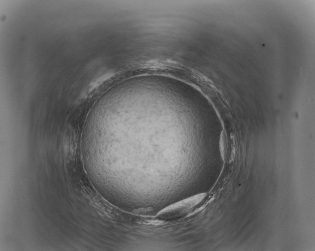 X0000085061158200703121517