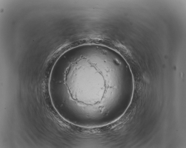 X0000085061159200703121517