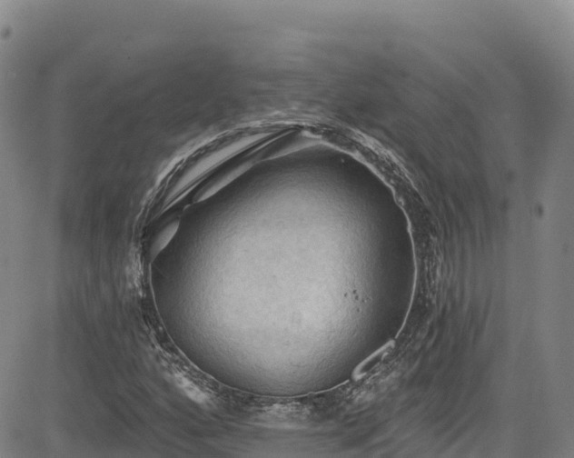 X0000085061160200703121517