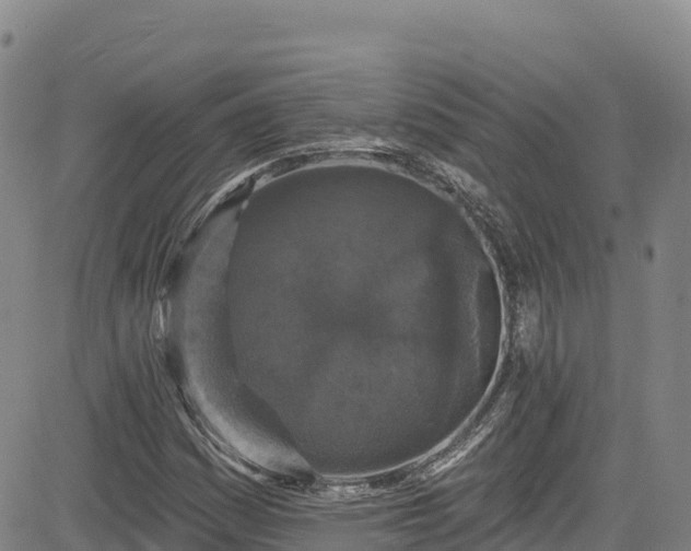 X0000085061161200703121517