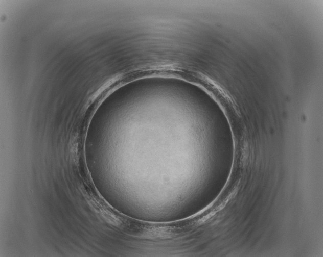 X0000085061162200703121517